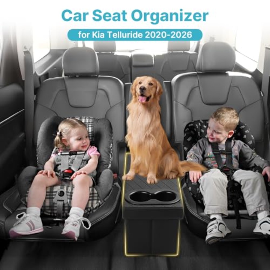 Organizador de asiento de coch - Travel Accessories Organizer Bag reseña y precio